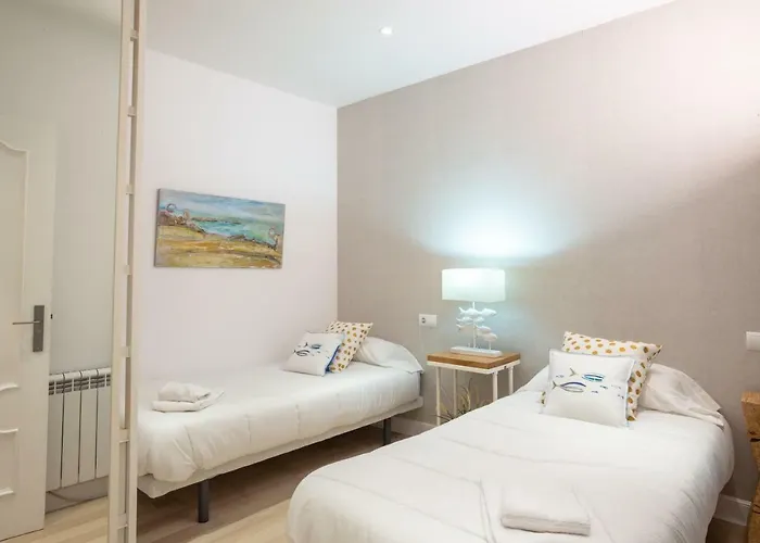 Sustraia - Local Rentss San Sebastián