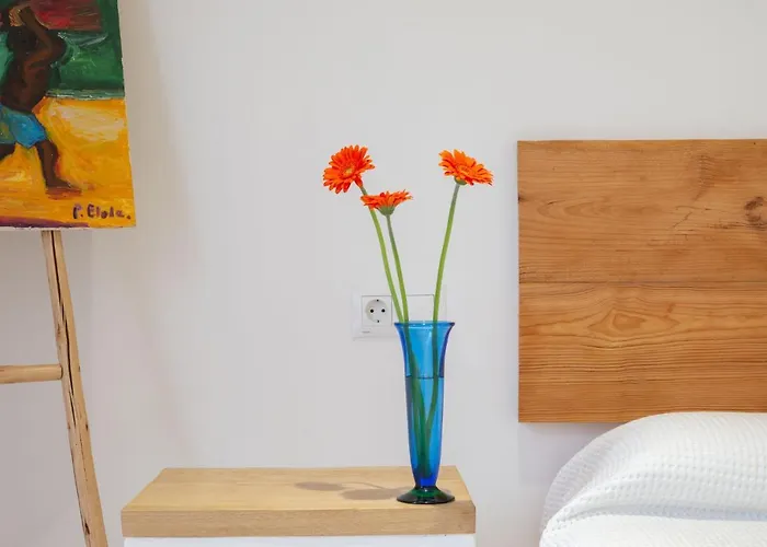 Sustraia - Local Rentss