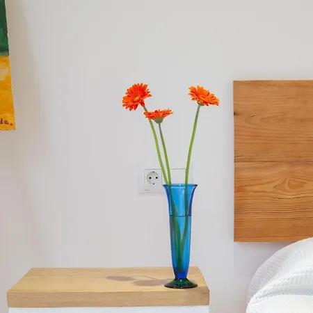 Sustraia - Local Rentss